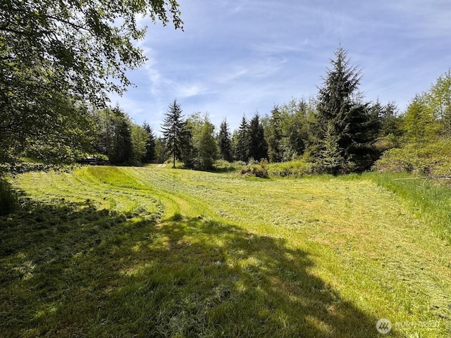 4434 Pacific Dogwood Dr, Freeland, WA 98249 - photo 5