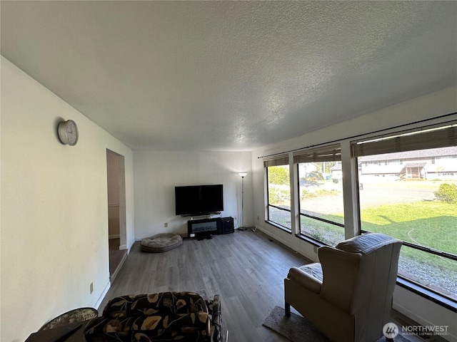 living area featuring baseboards, wood finished floors, and a textured ceiling