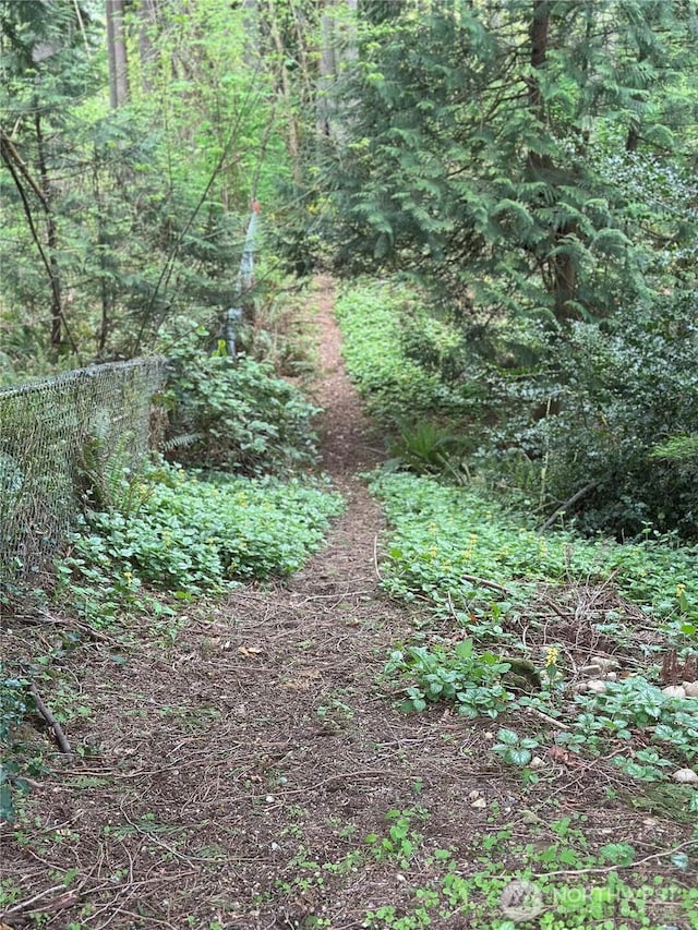 view of nature
