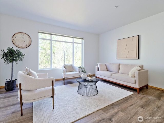 living room with baseboards and wood finished floors