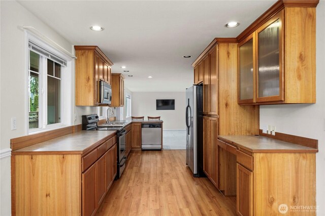 kitchen with a healthy amount of sunlight, appliances with stainless steel finishes, recessed lighting, and light wood finished floors