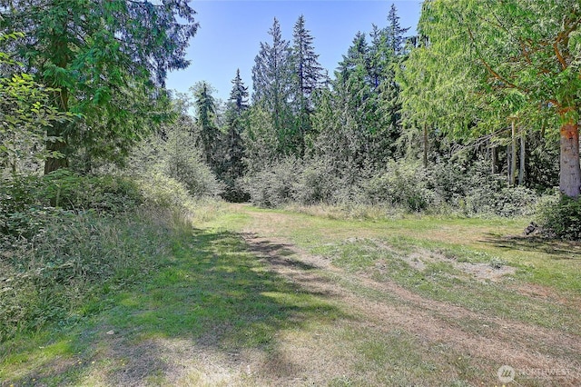 375 Rateau Dr, Camano Island, WA 98282 - photo 38
