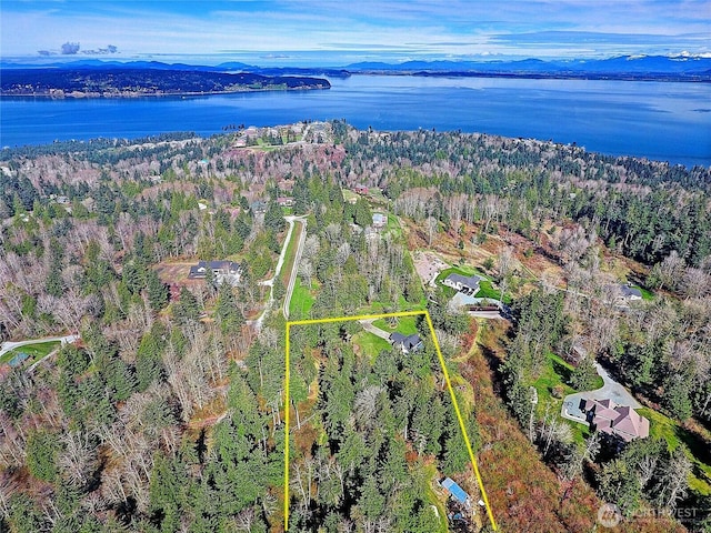 375 Rateau Dr, Camano Island, WA 98282 - photo 40