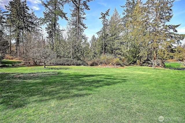 375 Rateau Dr, Camano Island, WA 98282 - photo 36