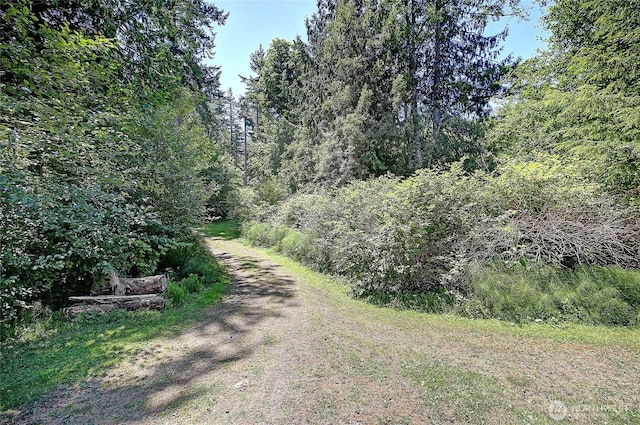 375 Rateau Dr, Camano Island, WA 98282 - photo 27