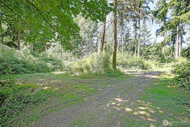 375 Rateau Dr, Camano Island, WA 98282 - photo 28