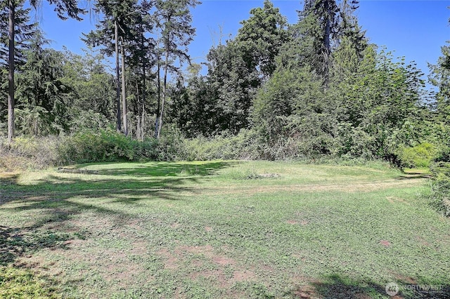 375 Rateau Dr, Camano Island, WA 98282 - photo 31