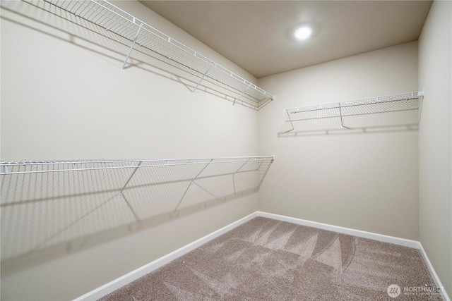 spacious closet with carpet floors