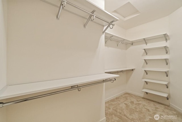16106 Broadway Ave, Snohomish, WA 98296 - walk in closet featuring light carpet and attic access