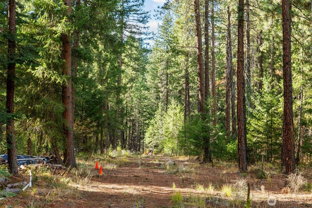 0 S Shugart Flats Rd, Leavenworth, WA 98826