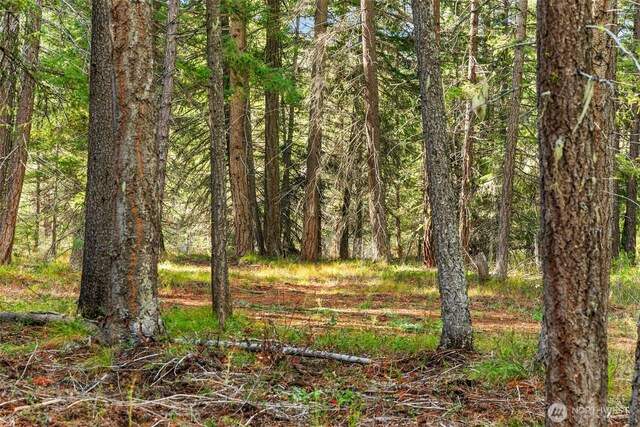 0 S Shugart Flats Rd, Leavenworth, WA 98826