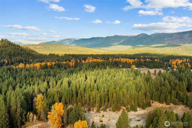 0 S Shugart Flats Rd, Leavenworth, WA 98826