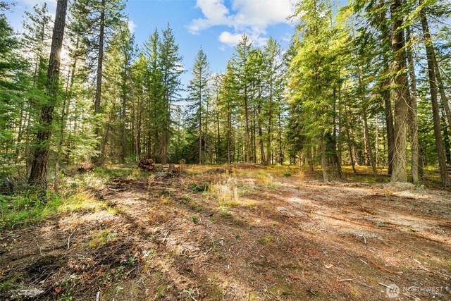 0 S Shugart Flats Rd, Leavenworth, WA 98826