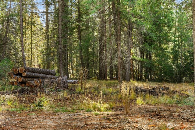 0 S Shugart Flats Rd, Leavenworth, WA 98826