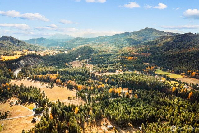 0 S Shugart Flats Rd, Leavenworth, WA 98826