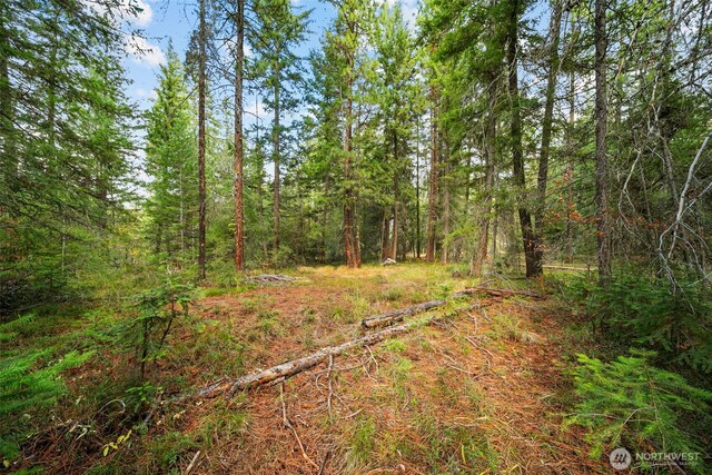 0 S Shugart Flats Rd, Leavenworth, WA 98826