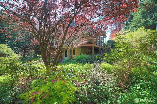 view of yard