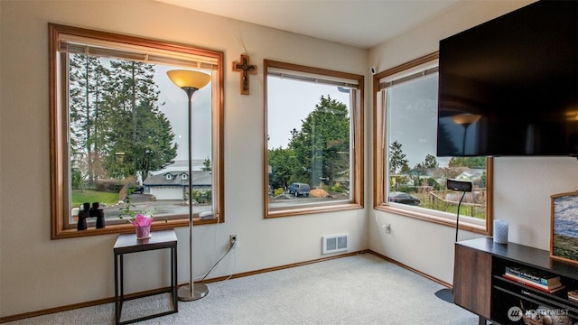 730 Madrona Way, Sequim, WA 98382 - photo 5