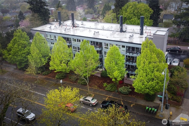 drone / aerial view