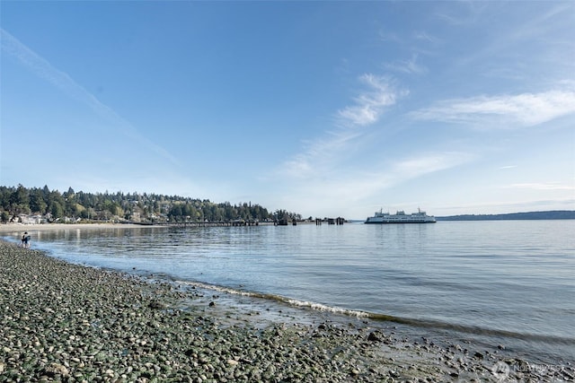 property view of water