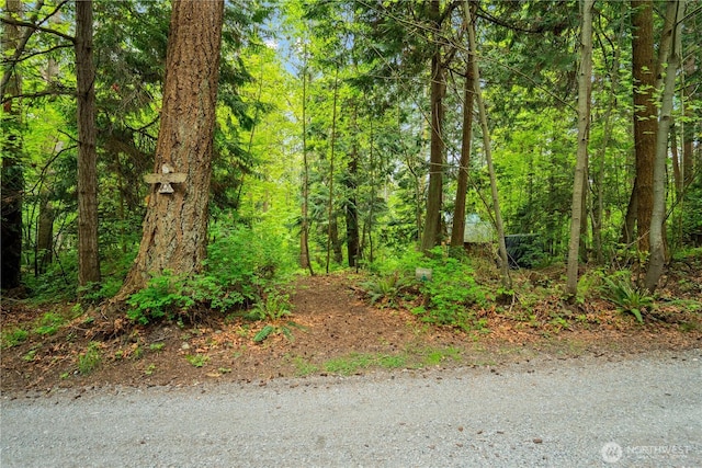 89 Eliza Is, Bellingham, WA 98226 - view of landscape with a view of trees