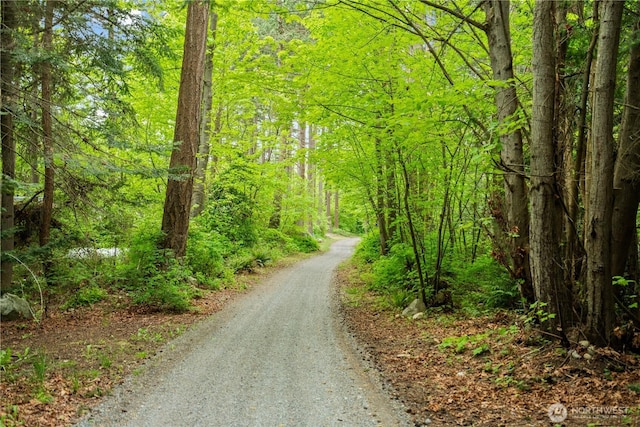 89 Eliza Is, Bellingham, WA 98226 - view of road with a view of trees