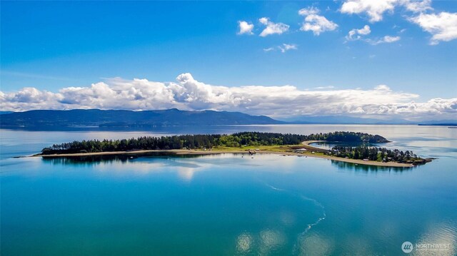 89 Eliza Is, Bellingham, WA 98226 - view of water feature featuring a mountain view