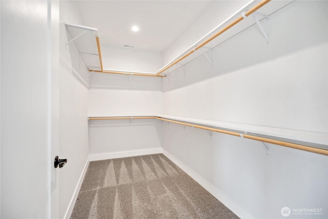 spacious closet with carpet