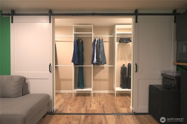 view of closet