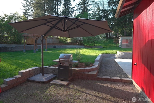view of yard with a patio
