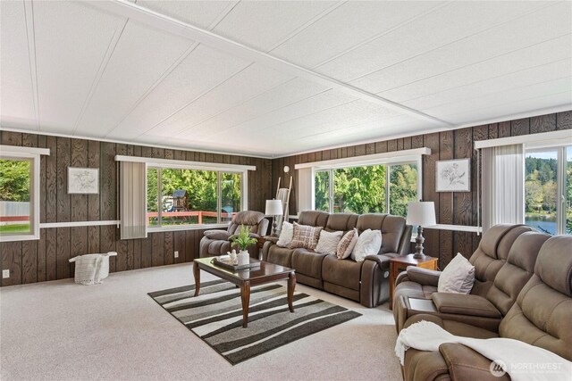 living room featuring wood walls and carpet flooring
