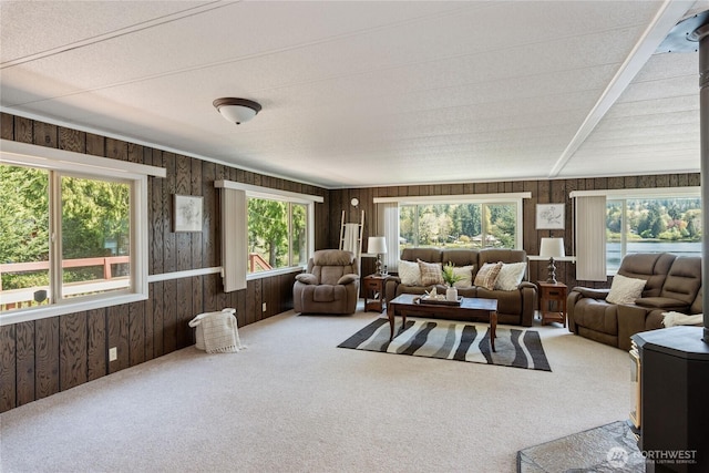 living area featuring wood walls and carpet