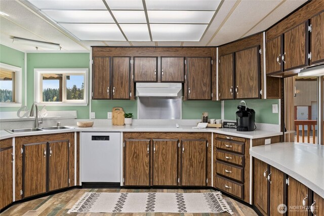 kitchen featuring under cabinet range hood, dishwashing machine, light countertops, and a sink