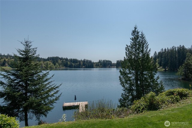 property view of water with a boat dock and a forest view
