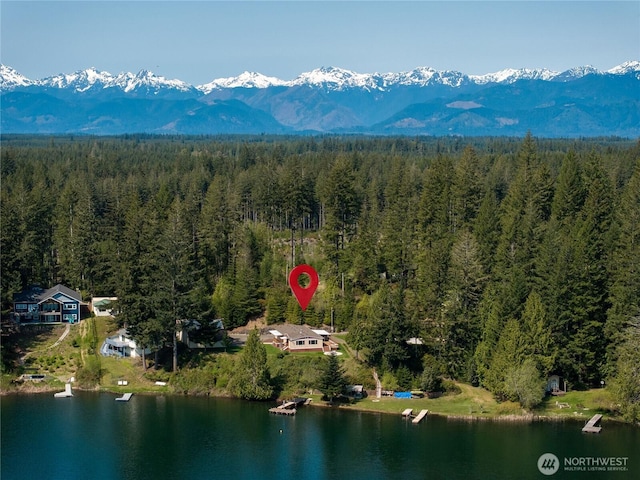 drone / aerial view with a water and mountain view and a view of trees