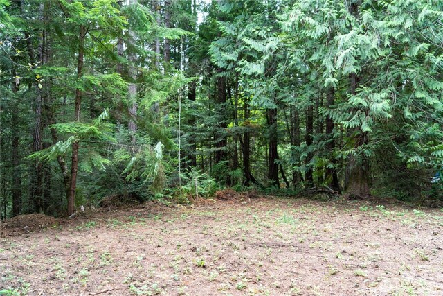 51 N Trail Head Loop, Lilliwaup, WA 98555