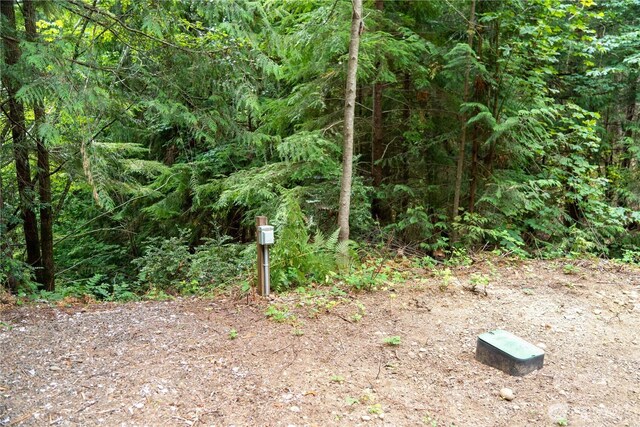 51 N Trail Head Loop, Lilliwaup, WA 98555