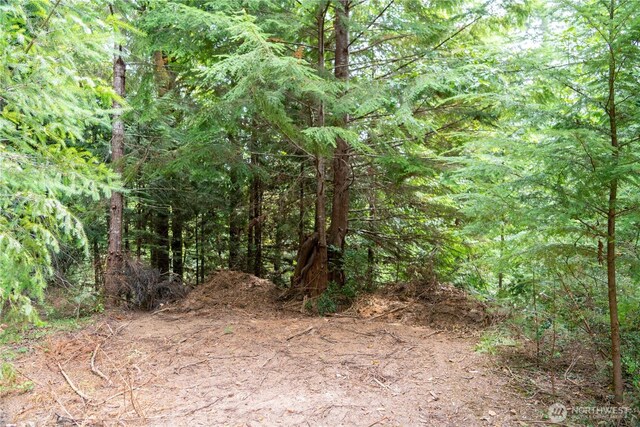 51 N Trail Head Loop, Lilliwaup, WA 98555