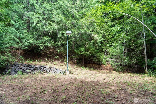 51 N Trail Head Loop, Lilliwaup, WA 98555