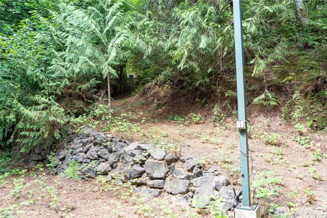 51 N Trail Head Loop, Lilliwaup, WA 98555