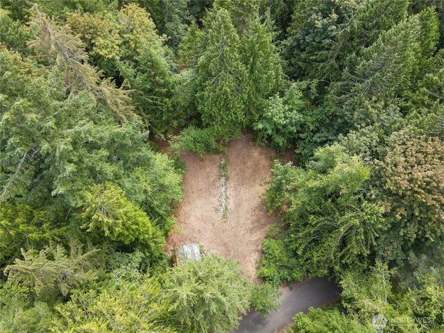 51 N Trail Head Loop, Lilliwaup, WA 98555