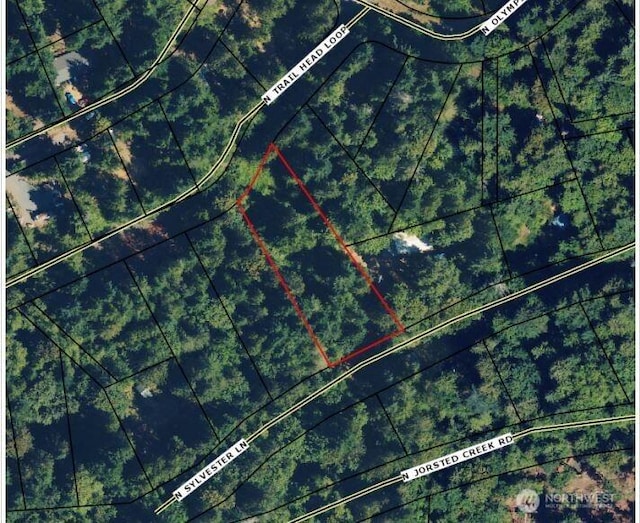 51 N Trail Head Loop, Lilliwaup, WA 98555