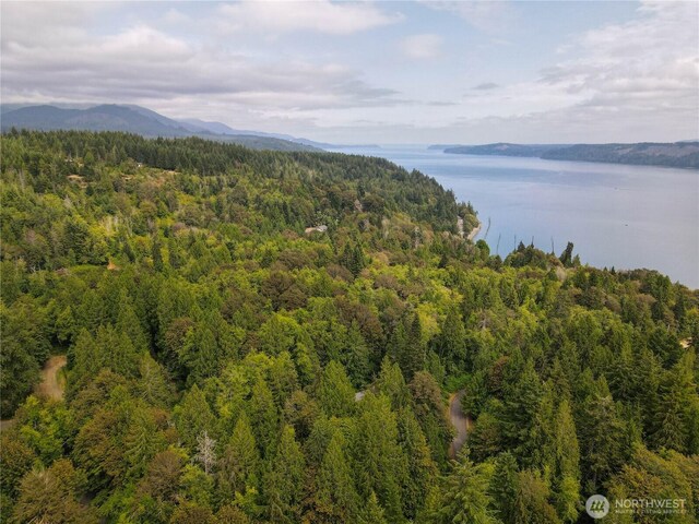 51 N Trail Head Loop, Lilliwaup, WA 98555