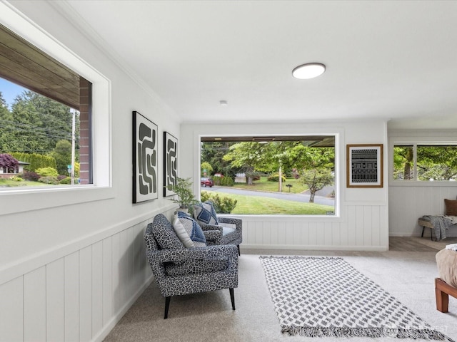 living area featuring healthy amount of natural light, carpet, and wainscoting