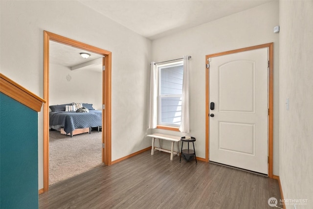 entryway with baseboards and wood finished floors