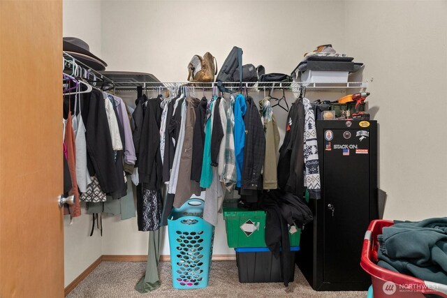 walk in closet with carpet floors