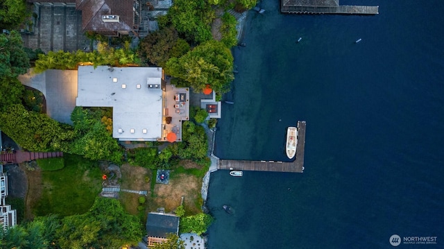 bird's eye view
