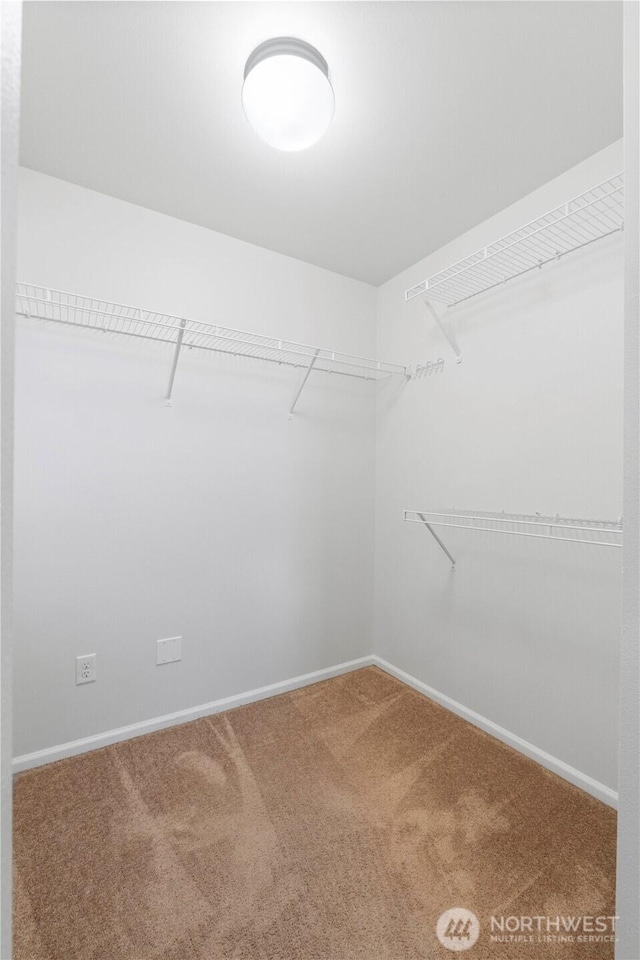 spacious closet with carpet flooring