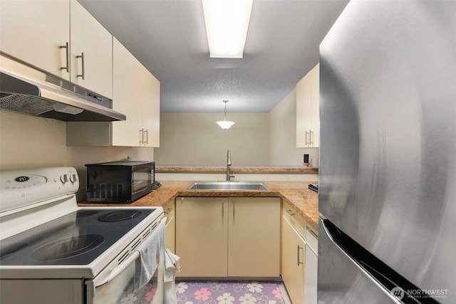 2534 S 317th St Unit 103, Federal Way, WA 98003 - kitchen featuring electric stove, freestanding refrigerator, under cabinet range hood, a sink, and black microwave