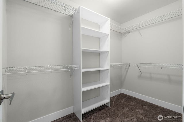 1221 199th St SE, Bothell, WA 98012 - walk in closet featuring carpet floors